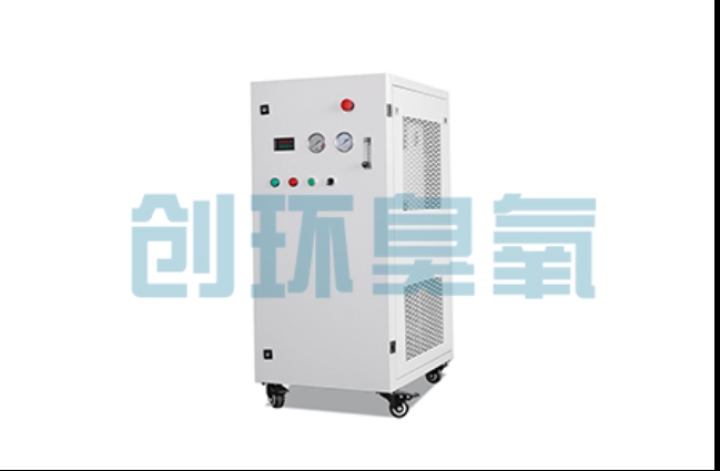 十堰工厂化养鲈必看:2026年臭氧发生器替代传统消毒的最新方案