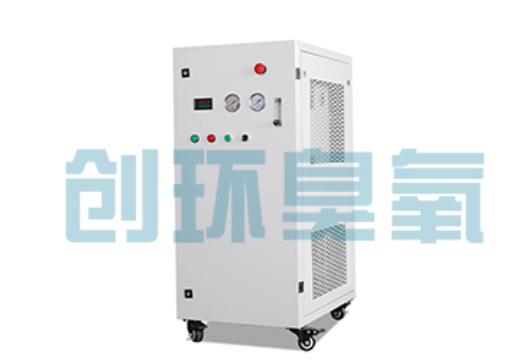 十堰石斑鱼养殖水质调控完整指南:臭氧发生器配置与操作步骤