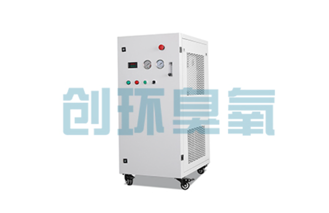 十堰比传统换水更高效?臭氧发生器在石斑鱼养殖中的水质净化原理解析
