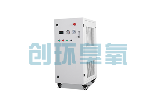 十堰比传统换水更高效?臭氧发生器在石斑鱼养殖中的水质净化原理解析